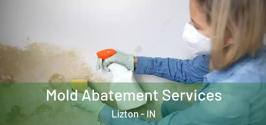 Mold Abatement Services Lizton - IN