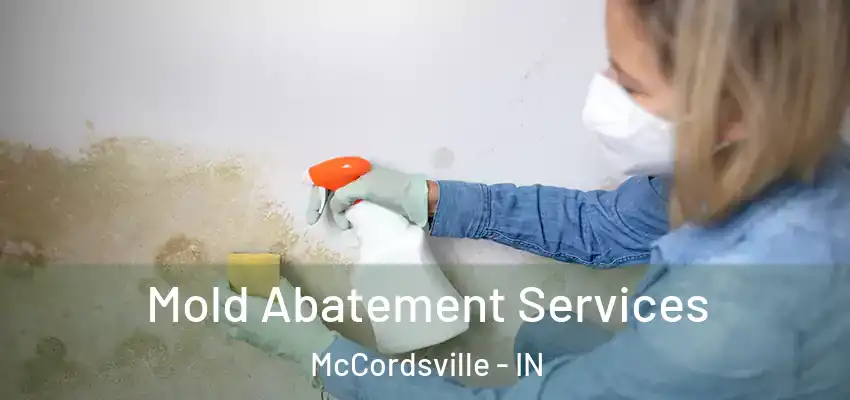  Mold Abatement Services McCordsville - IN