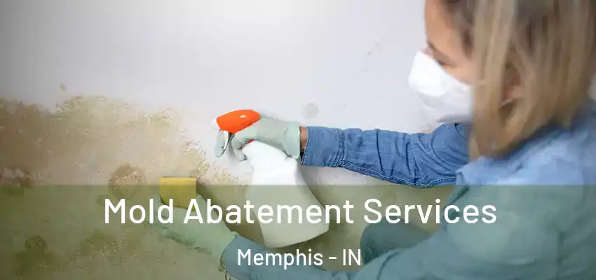  Mold Abatement Services Memphis - IN
