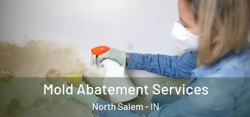 Mold Abatement Services North Salem - IN
