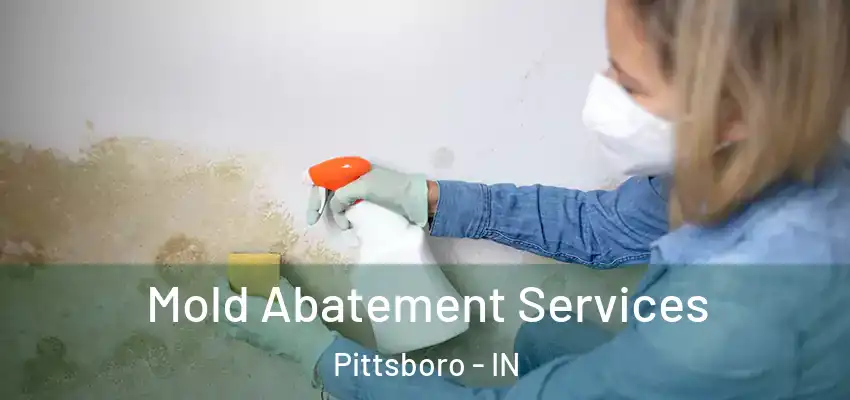  Mold Abatement Services Pittsboro - IN