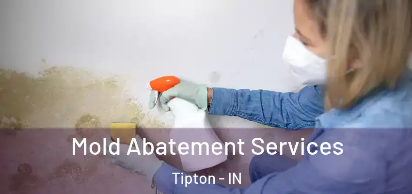  Mold Abatement Services Tipton - IN