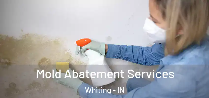  Mold Abatement Services Whiting - IN