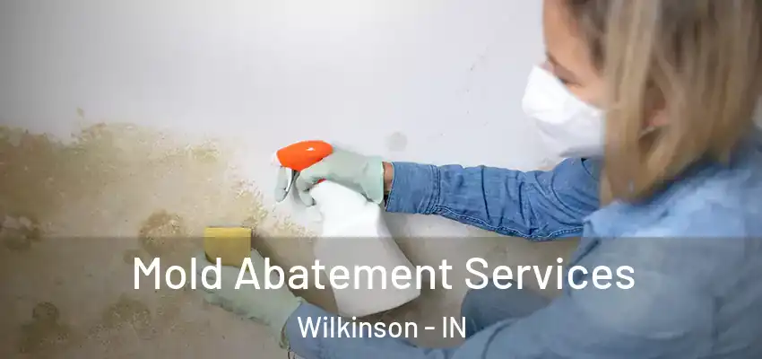  Mold Abatement Services Wilkinson - IN