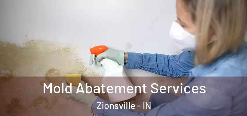  Mold Abatement Services Zionsville - IN