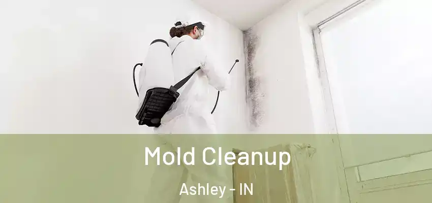  Mold Cleanup Ashley - IN