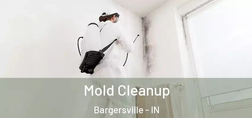  Mold Cleanup Bargersville - IN