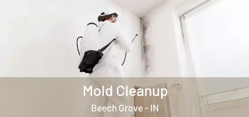  Mold Cleanup Beech Grove - IN