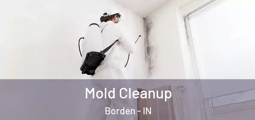  Mold Cleanup Borden - IN