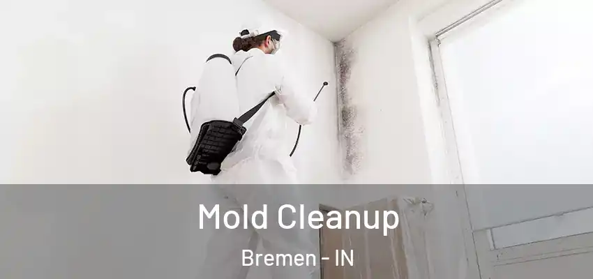  Mold Cleanup Bremen - IN