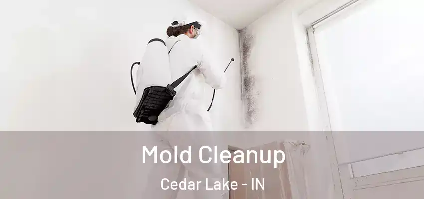  Mold Cleanup Cedar Lake - IN