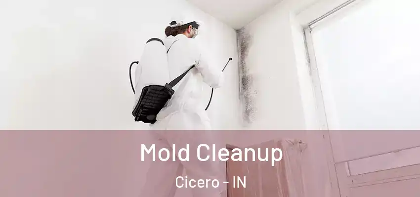 Mold Cleanup Cicero - IN