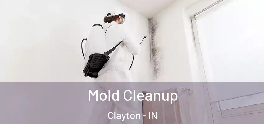 Mold Cleanup Clayton - IN