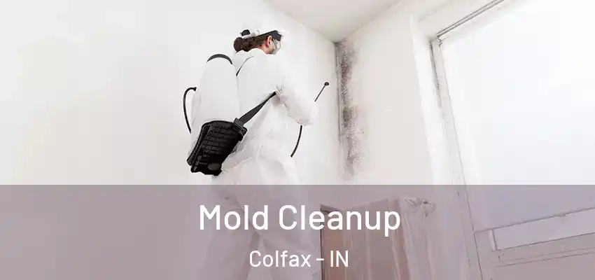 Mold Cleanup Colfax - IN