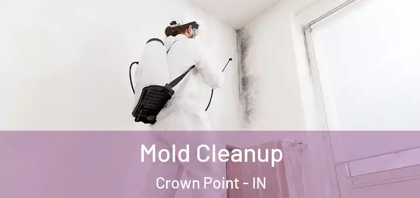  Mold Cleanup Crown Point - IN