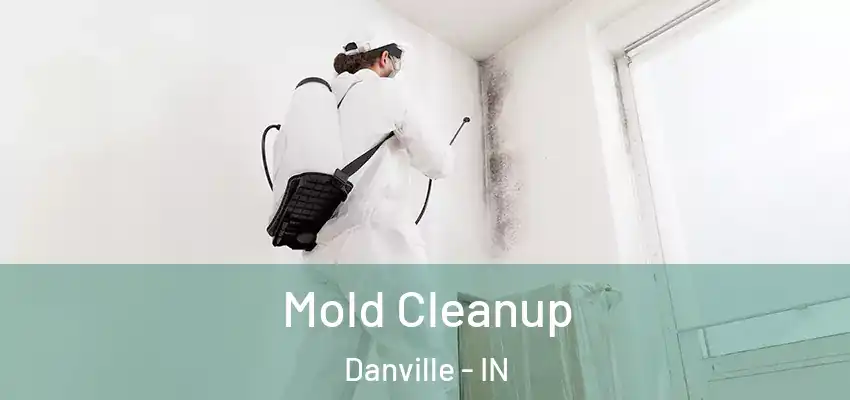  Mold Cleanup Danville - IN