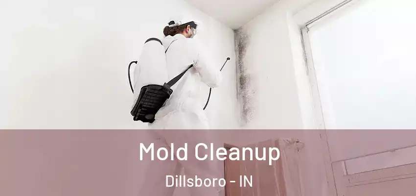 Mold Cleanup Dillsboro - IN