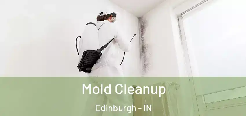  Mold Cleanup Edinburgh - IN