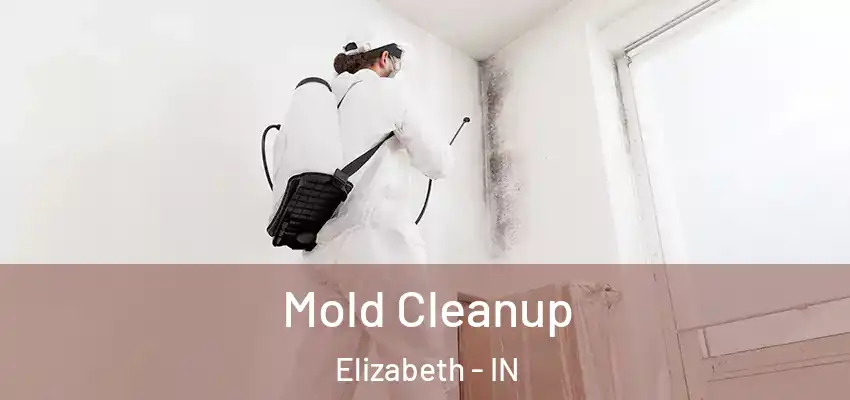  Mold Cleanup Elizabeth - IN
