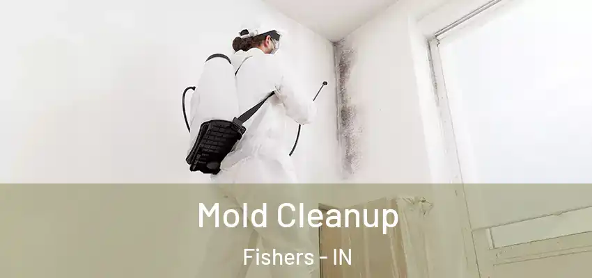  Mold Cleanup Fishers - IN