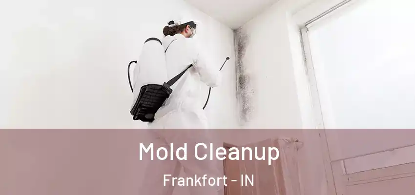  Mold Cleanup Frankfort - IN