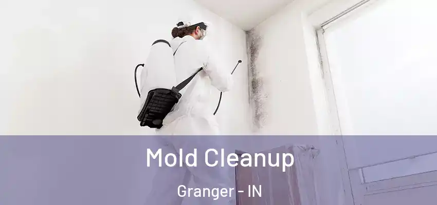  Mold Cleanup Granger - IN