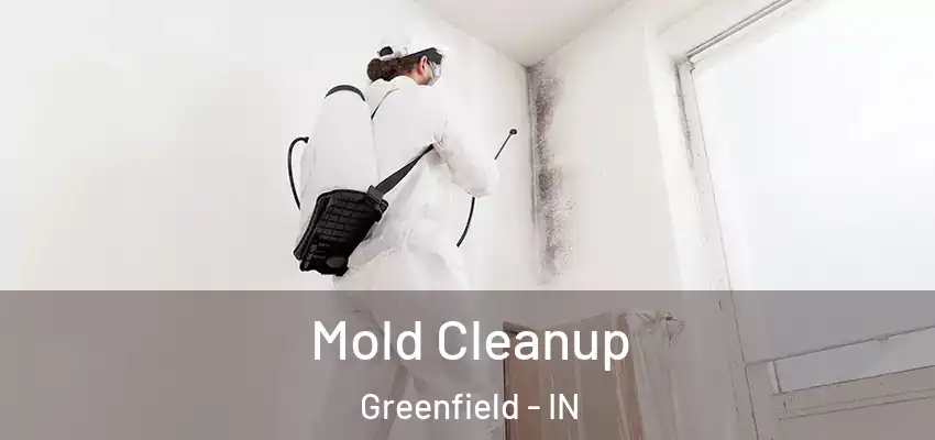 Mold Cleanup Greenfield - IN