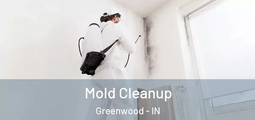 Mold Cleanup Greenwood - IN