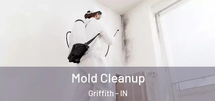  Mold Cleanup Griffith - IN
