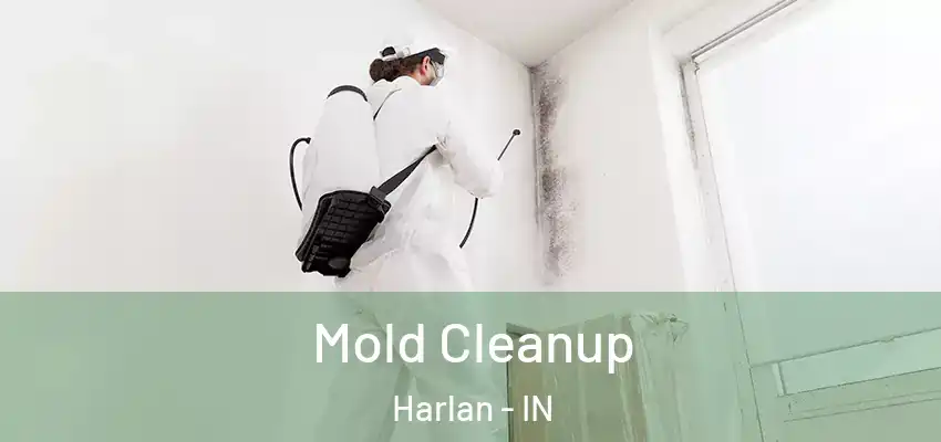  Mold Cleanup Harlan - IN