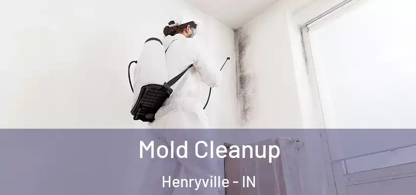  Mold Cleanup Henryville - IN
