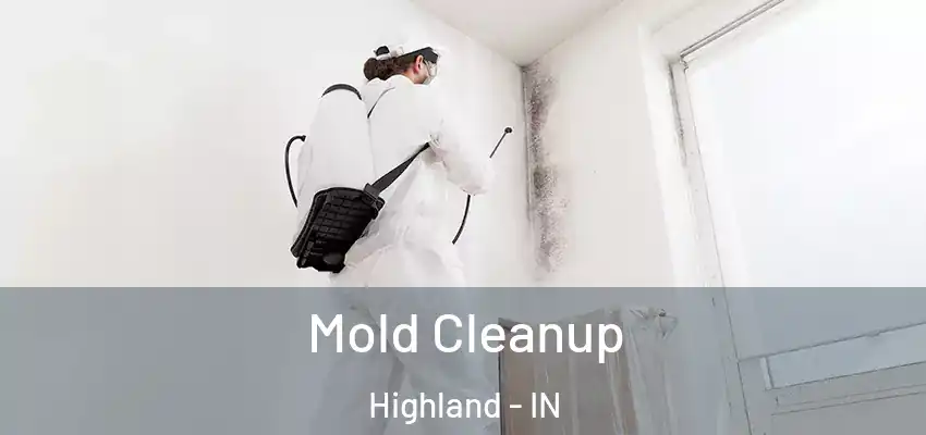  Mold Cleanup Highland - IN