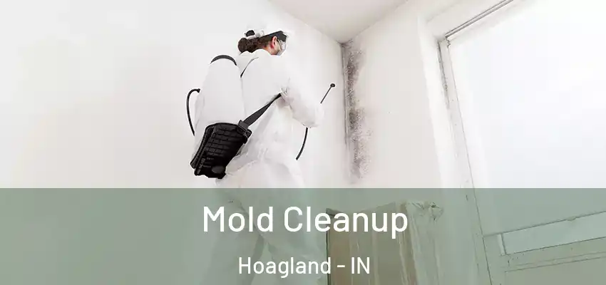  Mold Cleanup Hoagland - IN