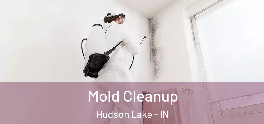  Mold Cleanup Hudson Lake - IN
