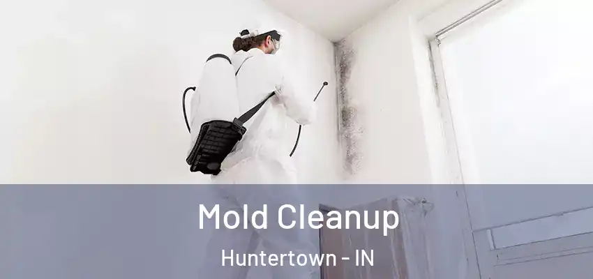  Mold Cleanup Huntertown - IN
