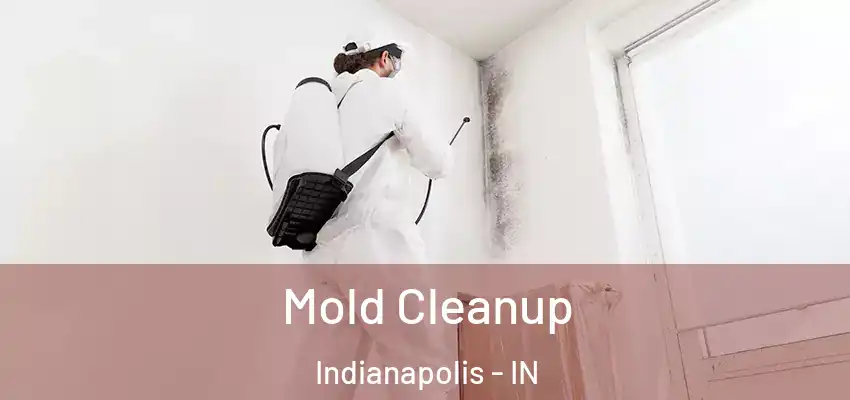  Mold Cleanup Indianapolis - IN