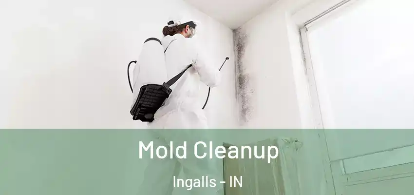  Mold Cleanup Ingalls - IN