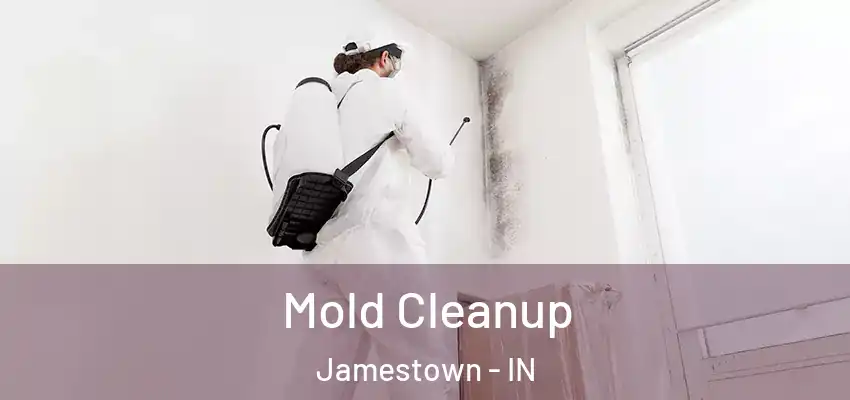 Mold Cleanup Jamestown - IN