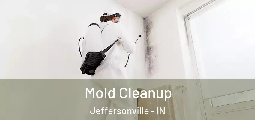  Mold Cleanup Jeffersonville - IN