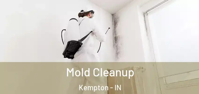 Mold Cleanup Kempton - IN
