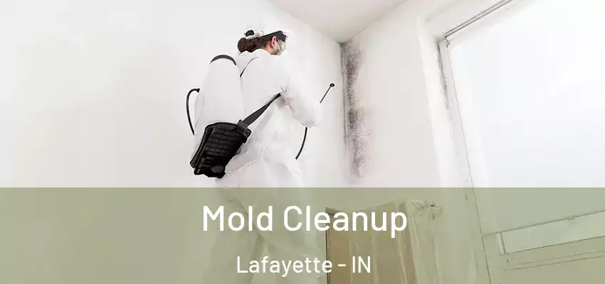 Mold Cleanup Lafayette - IN