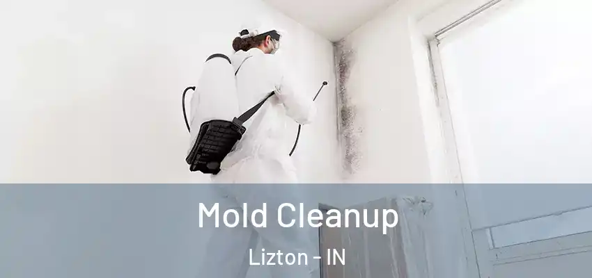  Mold Cleanup Lizton - IN