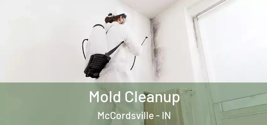  Mold Cleanup McCordsville - IN
