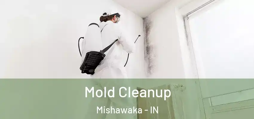  Mold Cleanup Mishawaka - IN