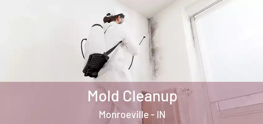  Mold Cleanup Monroeville - IN