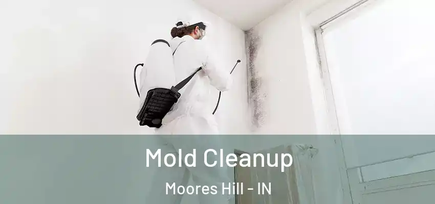  Mold Cleanup Moores Hill - IN