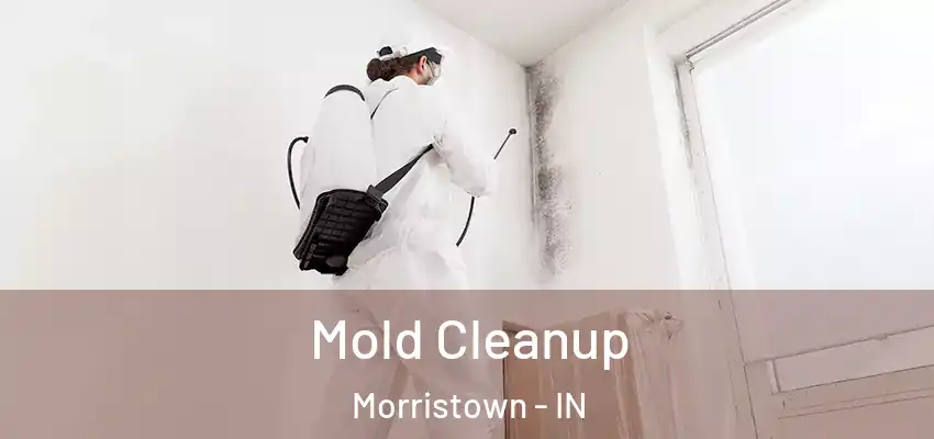  Mold Cleanup Morristown - IN