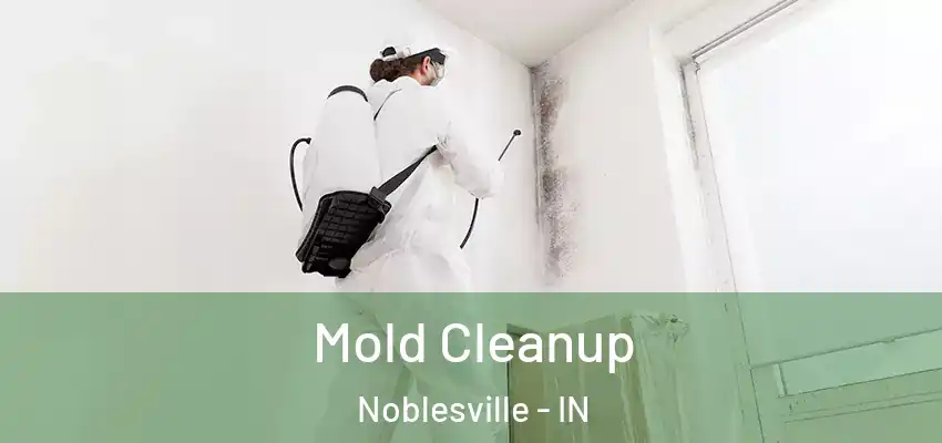  Mold Cleanup Noblesville - IN