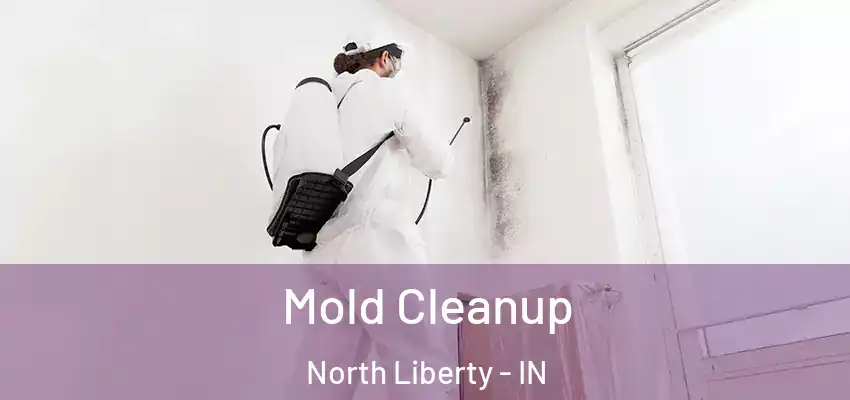  Mold Cleanup North Liberty - IN