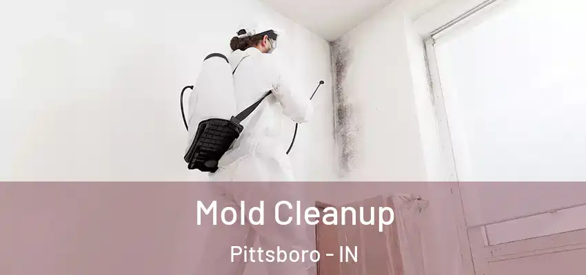  Mold Cleanup Pittsboro - IN